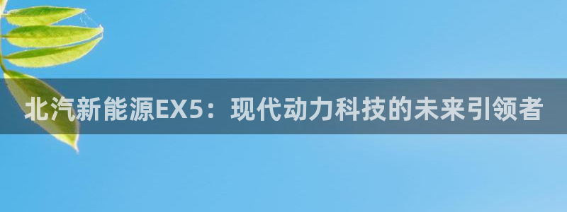 球盟会在线登入:北汽新能源EX5:现代动力科技的未来引领者