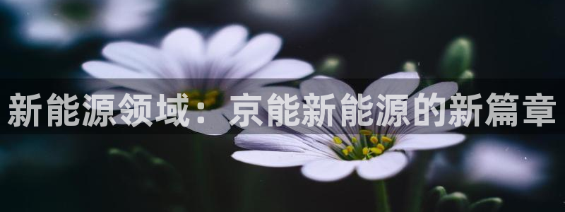 球盟会电子好黑:新能源领域:京能新能源的新篇章