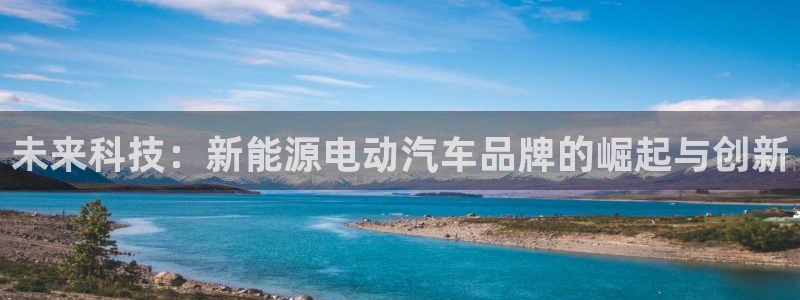 球盟会能退钱吗知乎:未来科技:新能源电动汽车品牌的崛起与创新