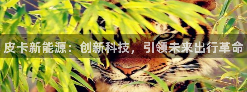 球盟会有没有黑单的人:皮卡新能源:创新科技,引领未来出行革命