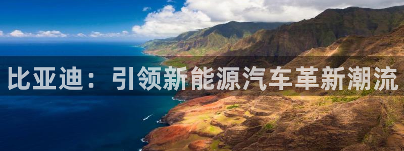 球盟会进不去吗:比亚迪:引领新能源汽车革新潮流