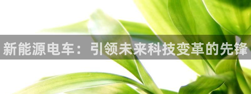 球盟会qmh电子网页版登录:新能源电车:引领未来科技变革的先