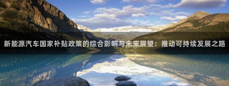 球盟会官方平台入口:新能源汽车国家补贴政策的综合影响与未来展