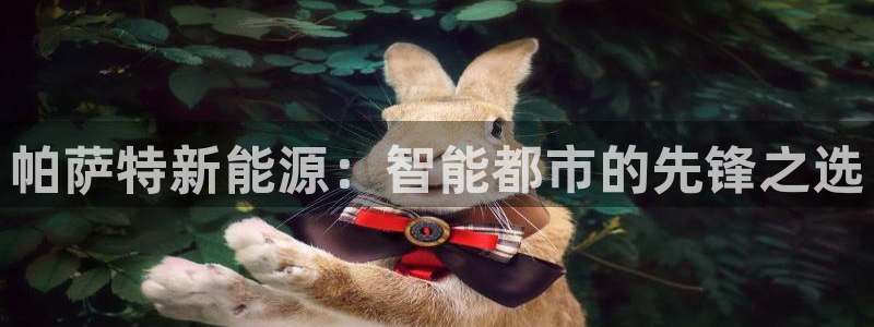 球盟会黑嘛:帕萨特新能源:智能都市的先锋之选