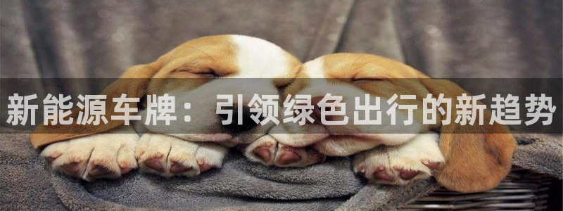 球盟会有没有黑单的活动:新能源车牌:引领绿色出行的新趋势