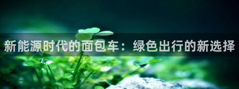 球盟会进不去球员吗:新能源时代的面包车:绿色出行的新选择