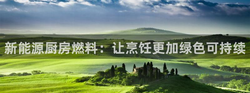 球盟会几点玩合适:新能源厨房燃料:让烹饪更加绿色可持续