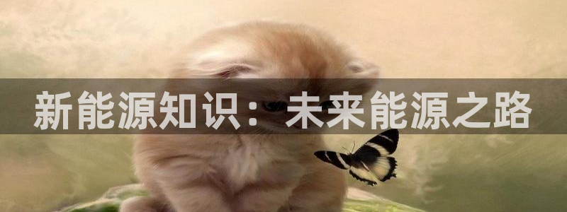 球盟会能退钱吗:新能源知识:未来能源之路