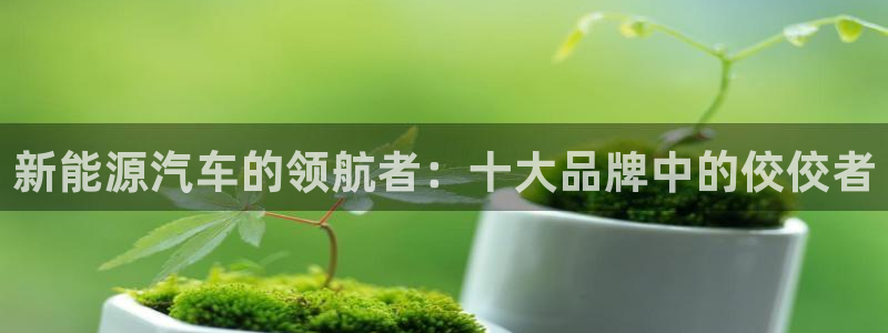 球盟会类似的网站:新能源汽车的领航者:十大品牌中的佼佼者