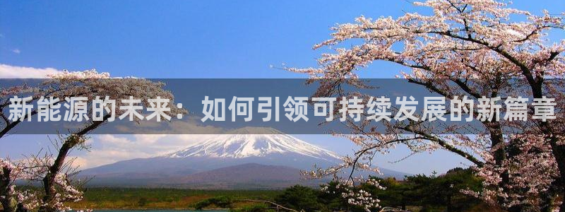 球盟会优惠领取网站是真的吗:新能源的未来:如何引领可持续发展