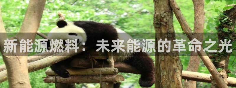 球盟会qmh电子网页版登录:新能源燃料:未来能源的革命之光