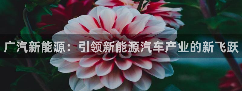 球盟会app最新地址在哪:广汽新能源:引领新能源汽车产业的新