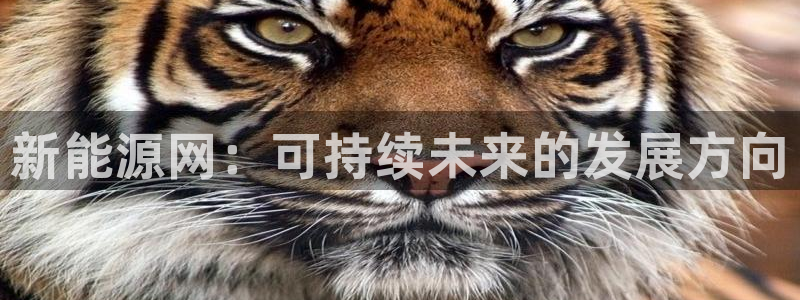 球盟会app最新地址在哪:新能源网:可持续未来的发展方向