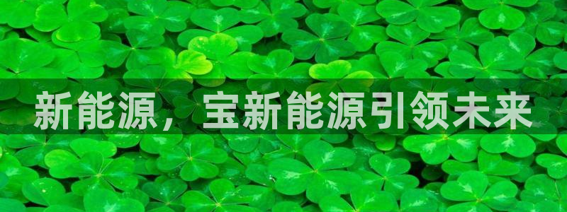 球盟会官方:新能源,宝新能源引领未来
