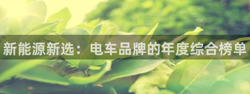 球盟会黑网:新能源新选:电车品牌的年度综合榜单