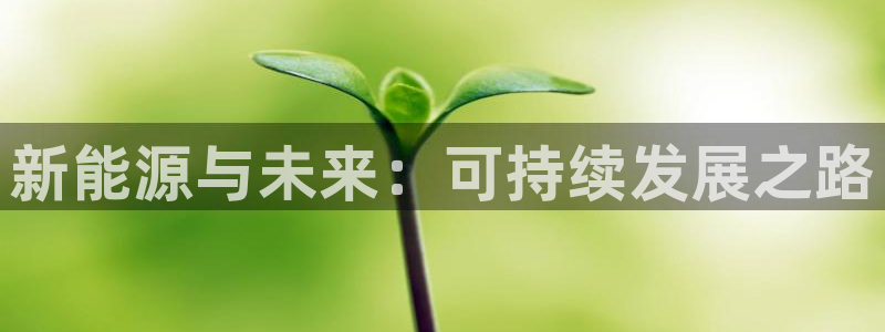 球盟会进不去球员吗