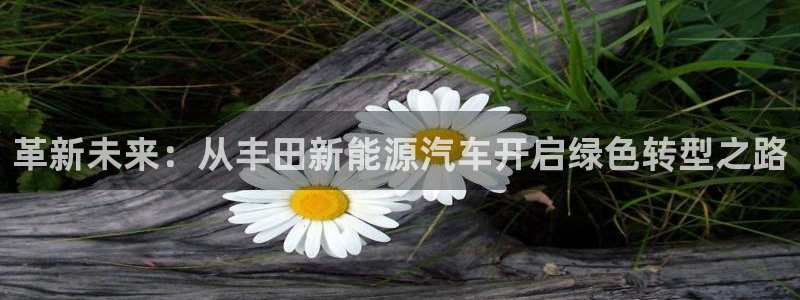 球盟会黑款吗知乎小说