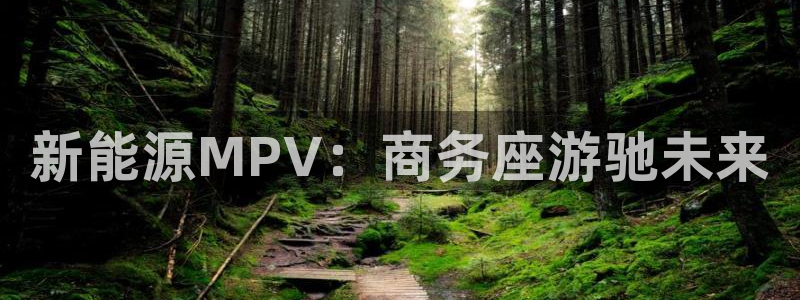 球盟会qm:新能源MPV:商务座游驰未来