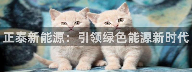 球盟会黑嘛:正泰新能源:引领绿色能源新时代