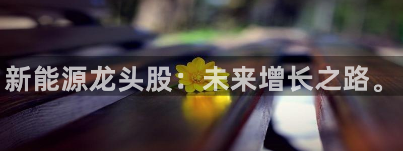 球盟会官方版下载地址