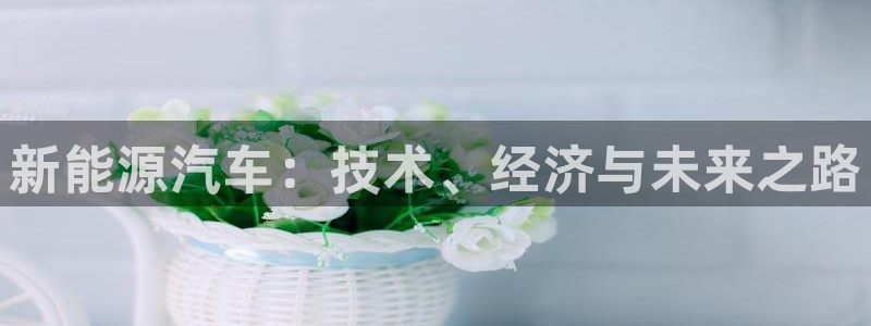 球盟会登录平台：新能源汽车：技术、经济与