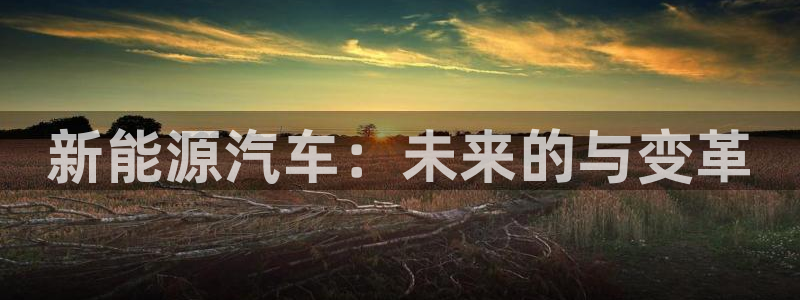 球盟会qmh登录地址：新能源汽车：未来的
