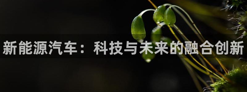 球盟会登陆中心:新能源汽车:科技与未来的融合创新