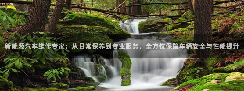 球盟会综合app下载:新能源汽车维修专家:从日常保养到专业服