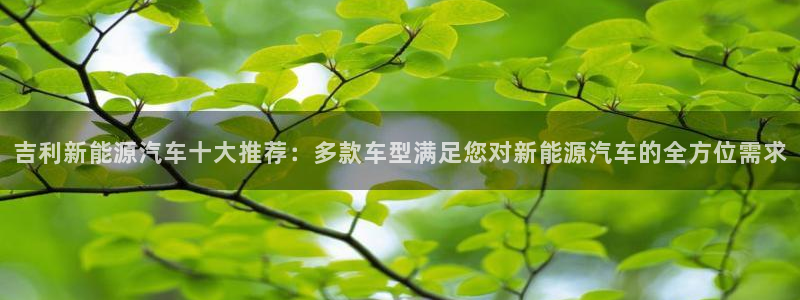球盟会里面有打牌的嘛:吉利新能源汽车十大推荐:多款车型满足您