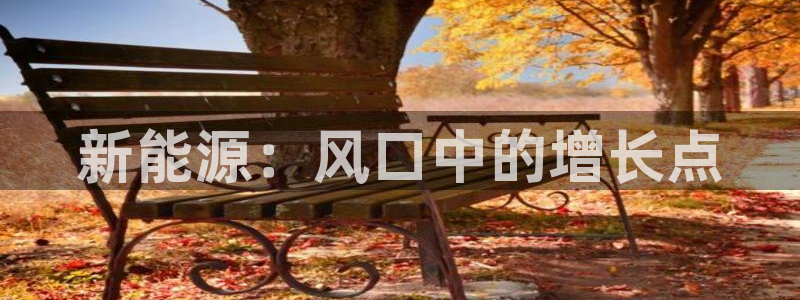 球盟会最新:新能源:风口中的增长点