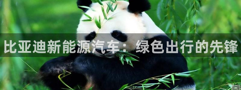 球盟会中国网页登录:比亚迪新能源汽车:绿色出行的先锋