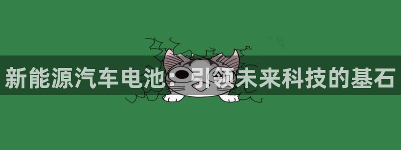 球盟会app安装:新能源汽车电池:引领未来科技的基石