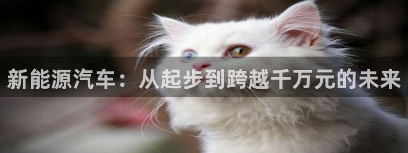 球盟会在线登录:新能源汽车:从起步到跨越千万元的未来