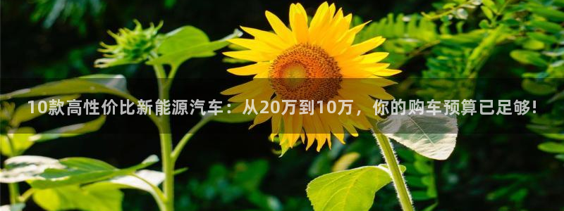 球盟会游戏:10款高性价比新能源汽车:从20万到10万,你的