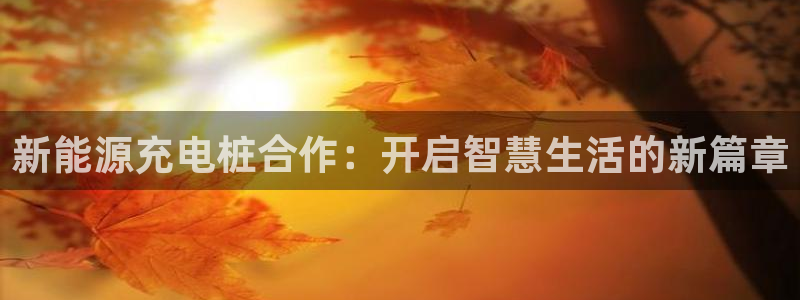 球盟会进不去吗