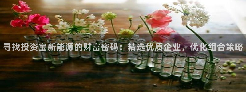 球盟会网址多少