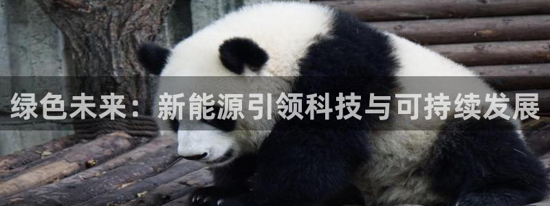 球盟会入口：绿色未来：新能源引领科技与可
