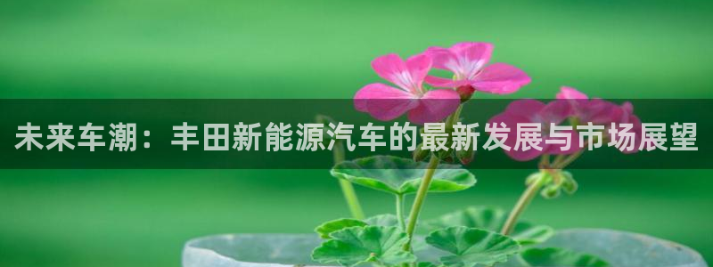 球盟会qmh - 球盟会官方网站：未来车