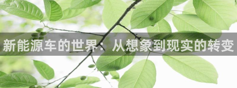 球盟会优惠券