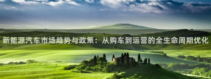 球盟会有没有黑单的球员