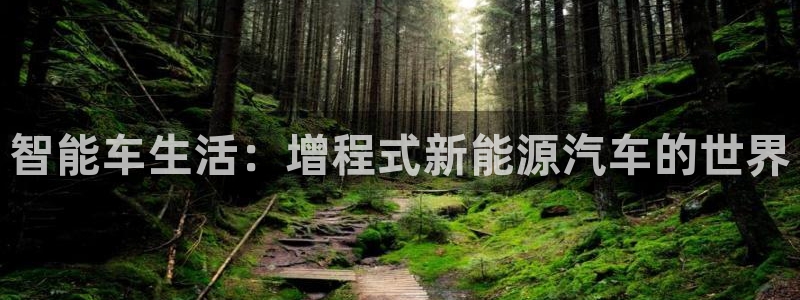球盟会体育平台：智能车生活：增程式新能源
