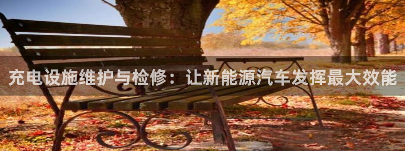 球盟会黑台:充电设施维护与检修:让新能源汽车发挥最大效能