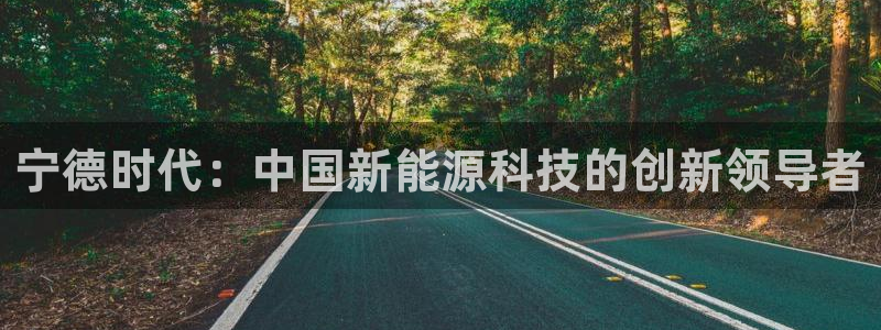 球盟会头号玩家是谁:宁德时代:中国新能源科技的创新领导者