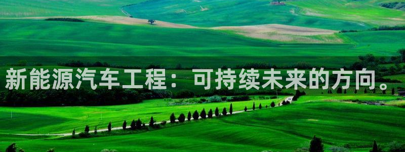 球盟会头号玩家是谁：新能源汽车工程：可持