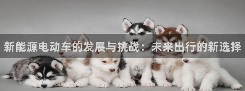 球盟会福利码2023最简单三个步骤：新能