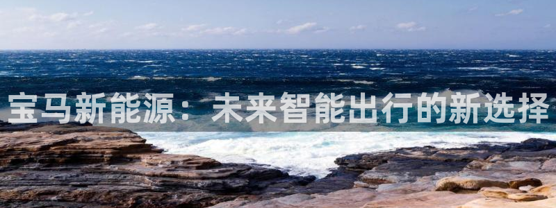 球盟会网页登录入口：宝马新能源：未来智能
