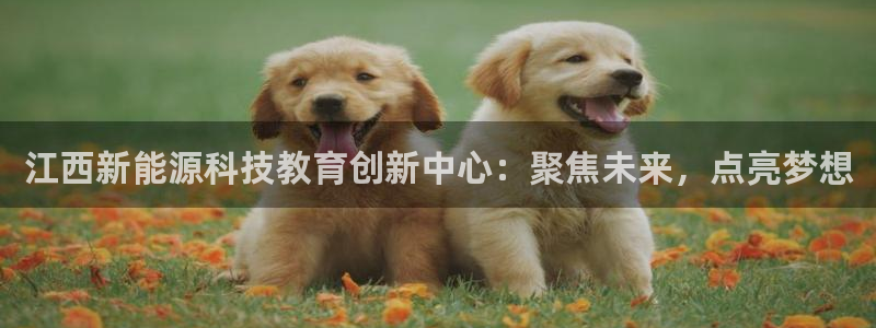 球盟会app入口：江西新能源科技教育创新