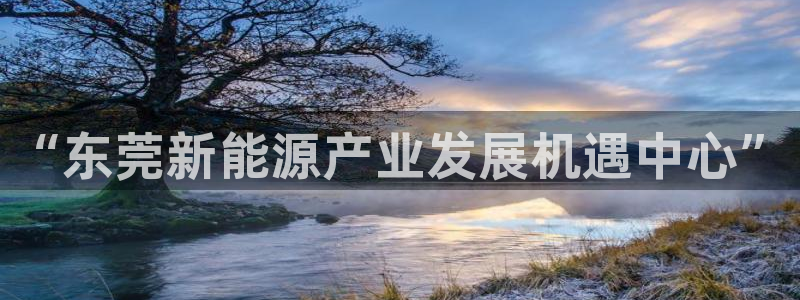 球盟会有没有黑单的：“东莞新能源产业发展