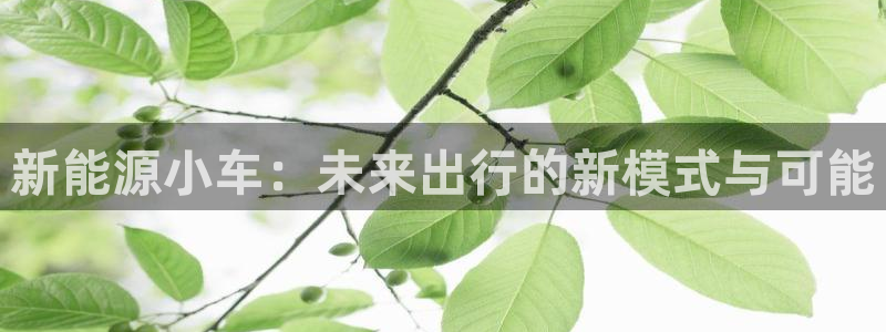 球盟会app安装：新能源小车：未来出行的