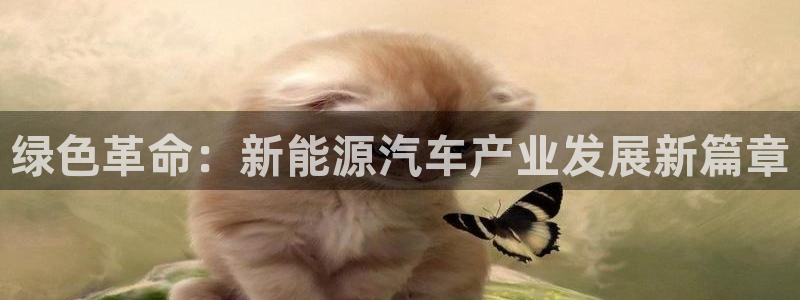 球盟会头号玩家是谁